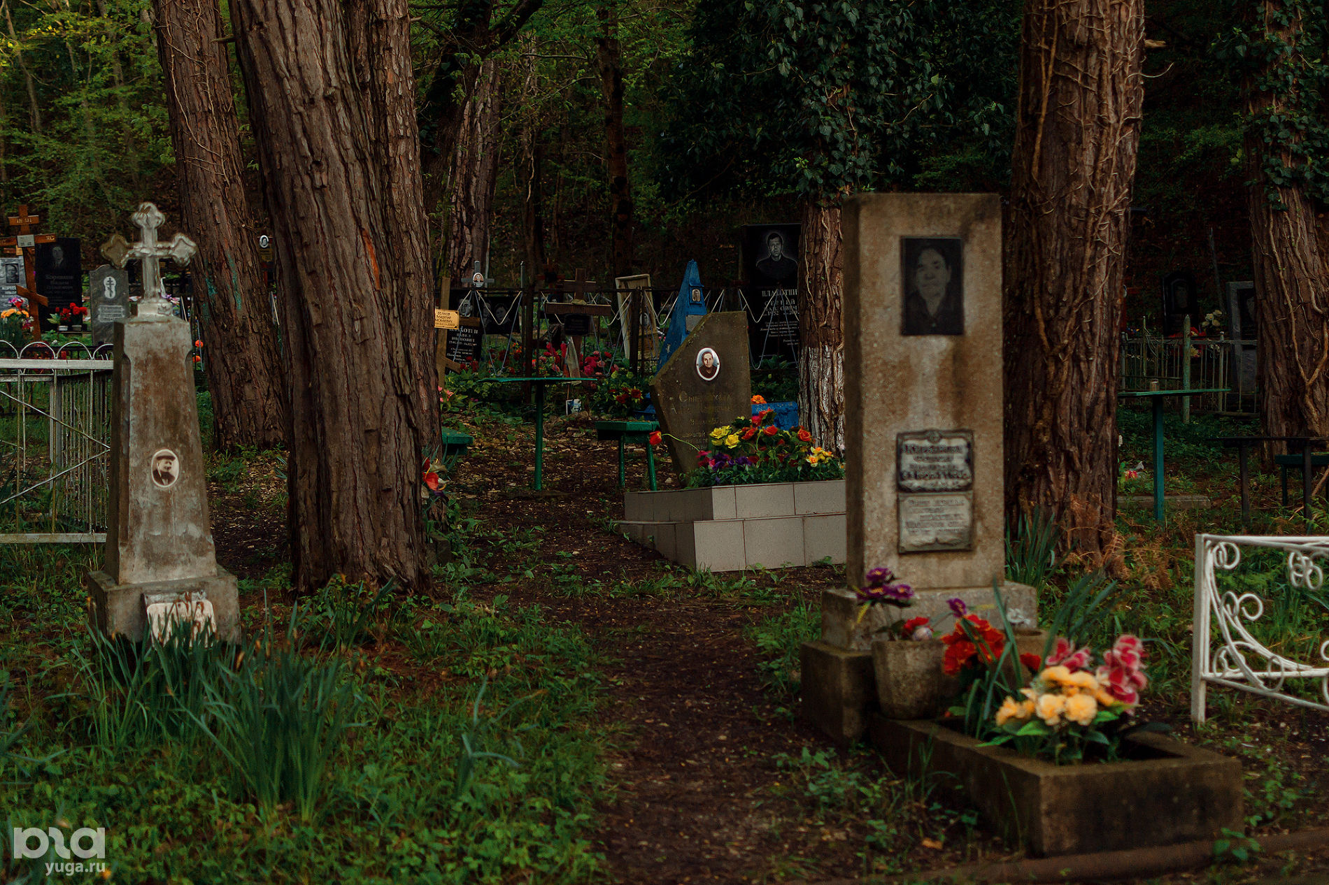 Джанхотское кладбище © Фото Юли Шафаростовой, Юга.ру